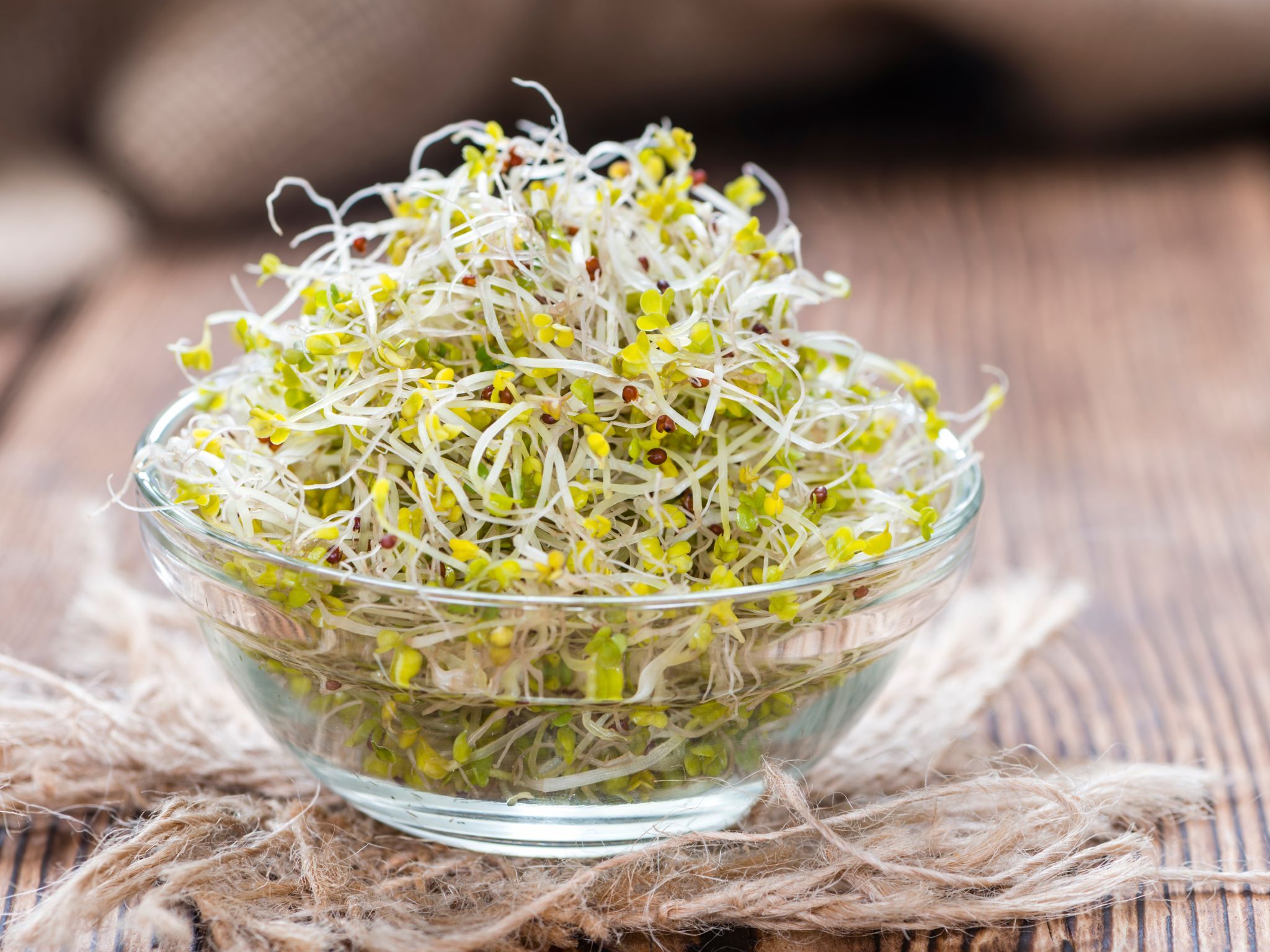 Raw Sprouts Benefits and Potential Risks - greenspherecbd.com